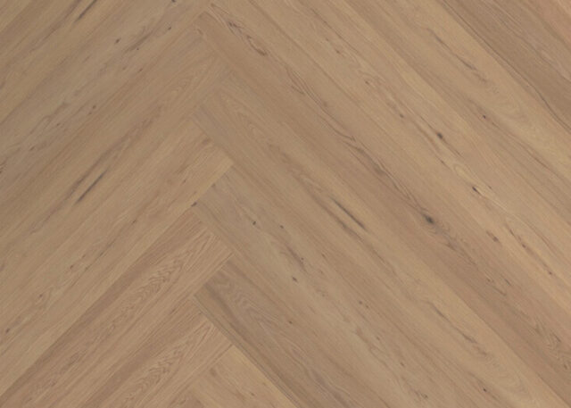 Burgundy Oak