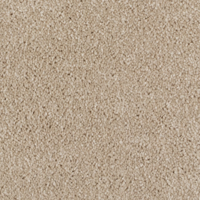 Sandy Beige 16611