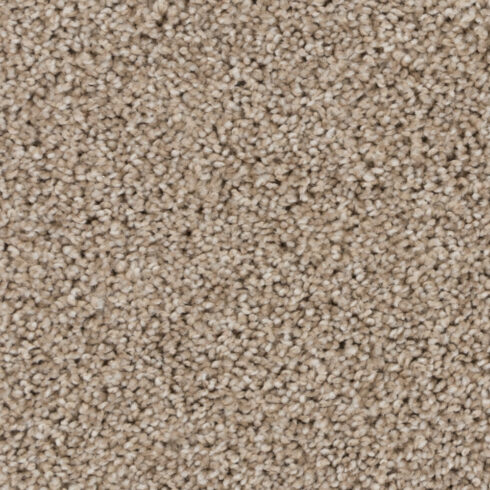 Arizona Sand 11068