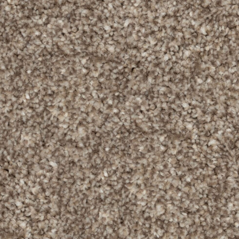 Cabriolet Brown 76838