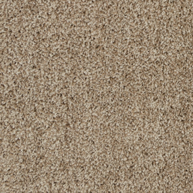 Gardenia Beige 14252